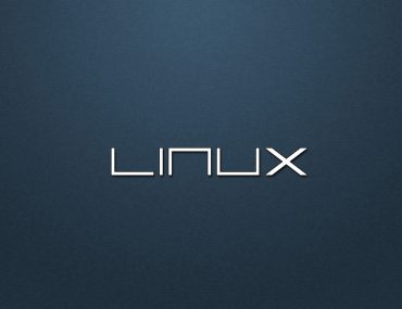 Debian Server vs Ubuntu Server